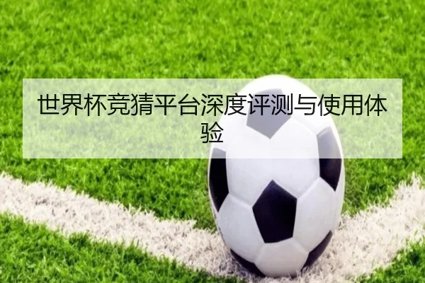 世界杯竞猜平台深度评测与使用体验
