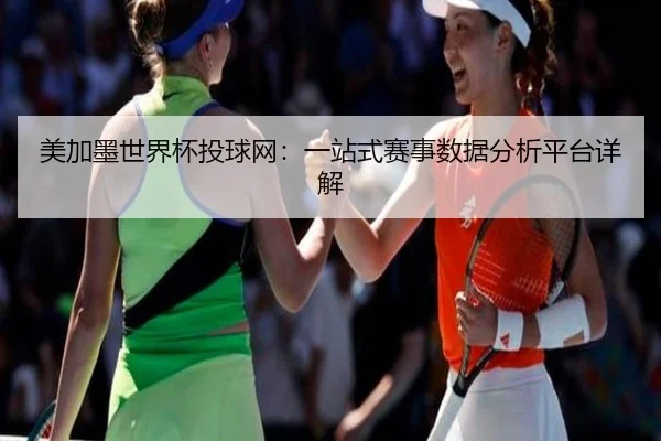 美加墨世界杯投球网：一站式赛事数据分析平台详解