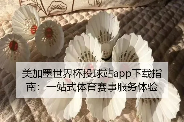 美加墨世界杯投球站app下载指南：一站式体育赛事服务体验
