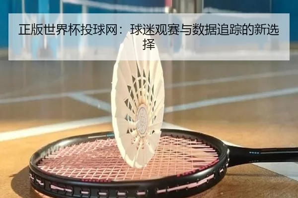 正版世界杯投球网：球迷观赛与数据追踪的新选择