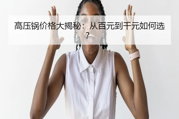 高压锅价格大揭秘：从百元到千元如何选？