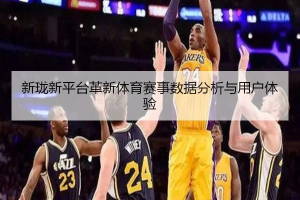 新珑新平台革新体育赛事数据分析与用户体验