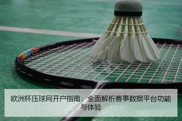 欧洲杯压球网开户指南：全面解析赛事数据平台功能与体验