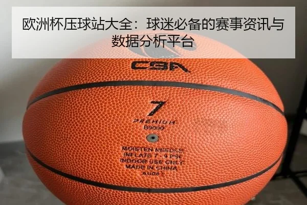 欧洲杯压球站大全：球迷必备的赛事资讯与数据分析平台