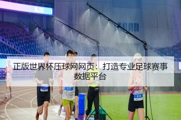 正版世界杯压球网网页：打造专业足球赛事数据平台